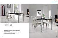 dining table and dining chair