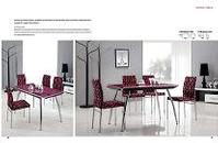 dining table and dining chair