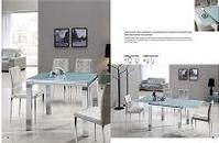 dining table and dining chair