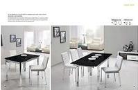 dining table and dining chair