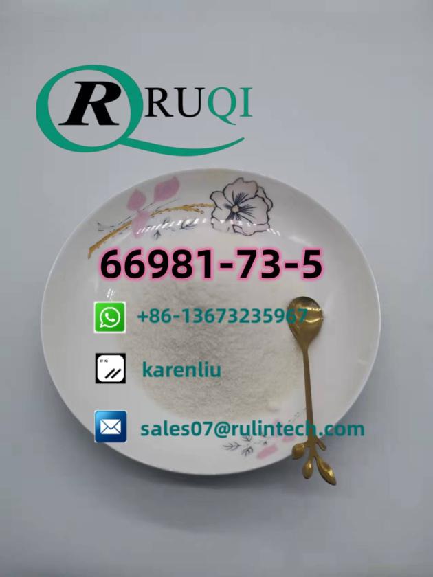 66981-73-5