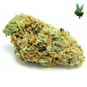 marijuana