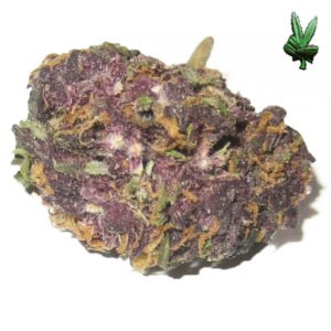 kush