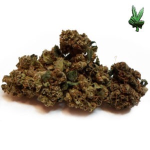 Kush