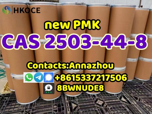 New PMK Powder Cas 2503 44