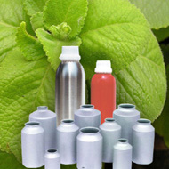 Ajowan Essential Oil
