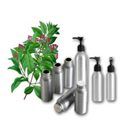 Amyris Essential Oil