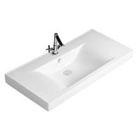 Cabinet Basin(0069g)