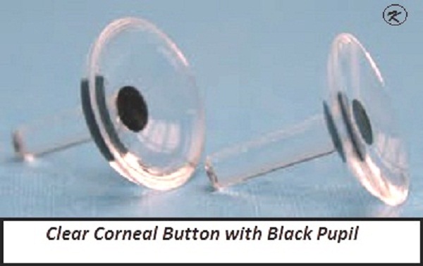 Clear Corneal Button /Iris Button