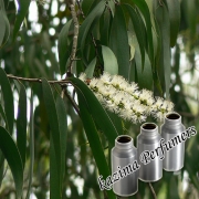 Cajuput Oil