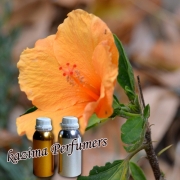 Caraway Oil