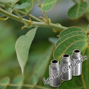 Cassia Oil