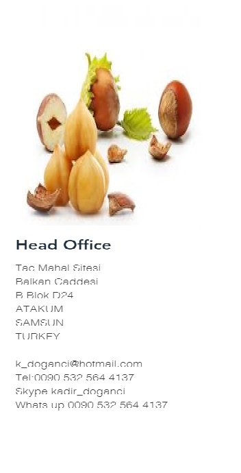 Hazelnuts without shell