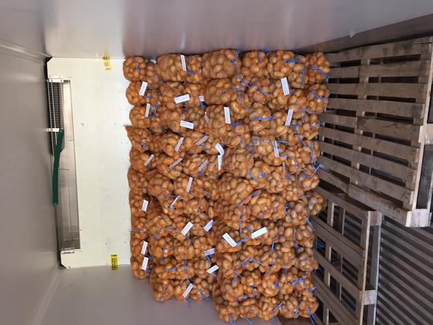 Fresh Potatoes