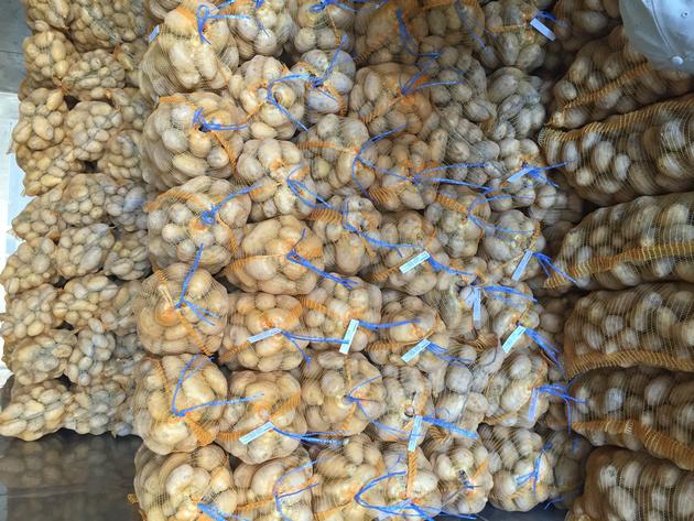 Fresh Potatoes