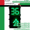LED Traffic Walkman & Seconds Countdown Pedestrian Signal