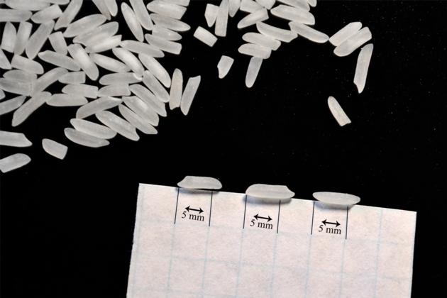 Long-grain white rice