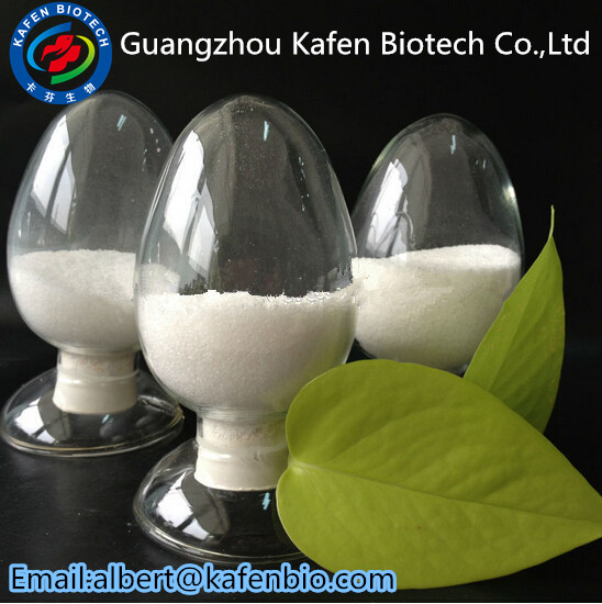 Testolactone 