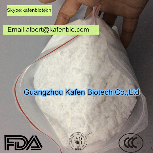 Dehydroepiandrosterone/DHEA 