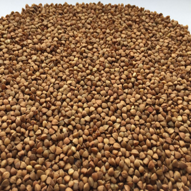 High Quality Roasted Buckwheat Kernel