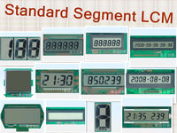 Professional Segment LCD Module