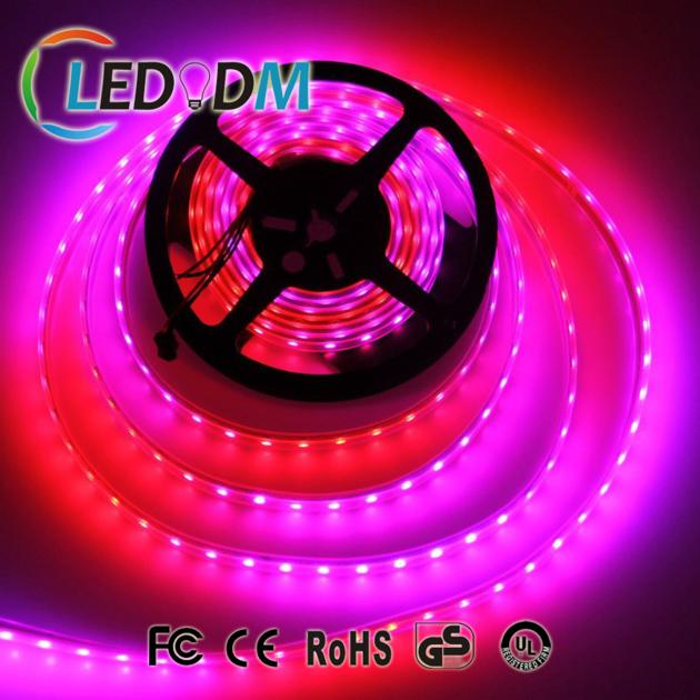 SMD 5050 5V Rgb Led Pixel