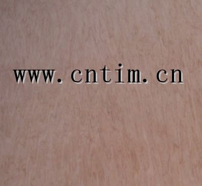 supply bintangor plywood