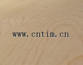birch plywood