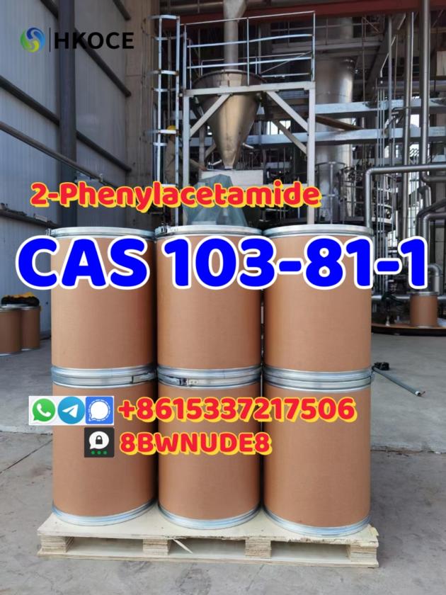 High Quality 2 Phenylacetamide CAS 103
