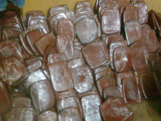 Dragons Blood