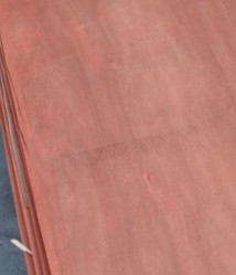 lauan plywood