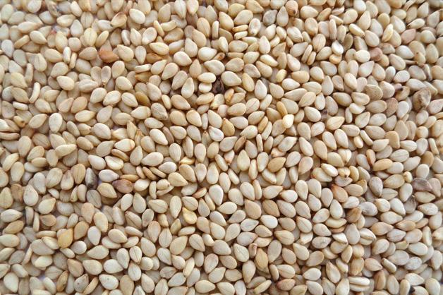 Sesemi Seed