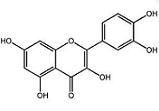 bulk quercetin powder