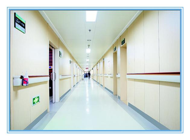 Hospital Antimicrobial Handicapped PVC Amp Aluminium