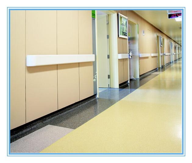 Hospital Anitbacterial PVC Wall Guard