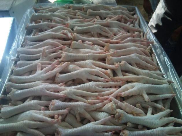 ISO, HACCP & Halal Grade A Chicken Feet / Frozen Chicken Paws 