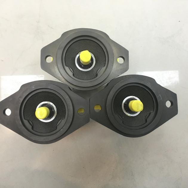 Rexroth Gear Pump R900086163 PGF1 2X