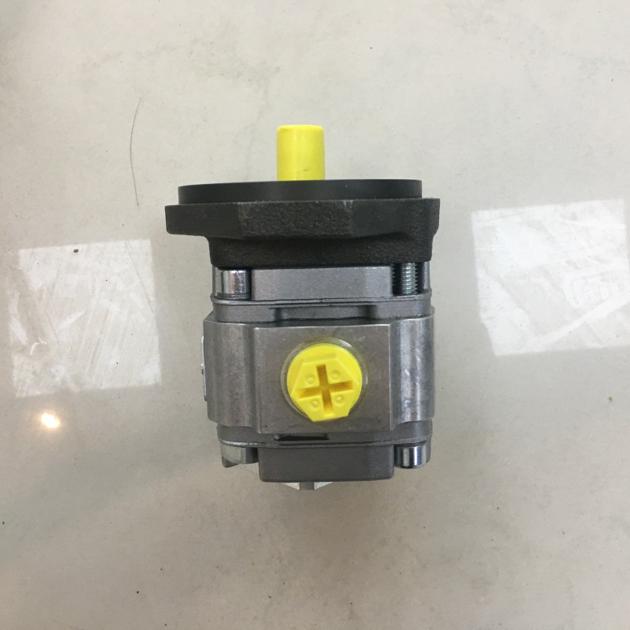 Rexroth Gear Pump R900086163 PGF1 2X