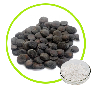 Griffonia seed extract/5-HTP 99% 98%/5-hydroxytryptophan,L- 5-hydroxytryptophan/Brain health