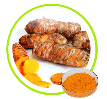 Turmeric Root Extract; Curcumin 95% powder  Curcumin 10% Water Soluble