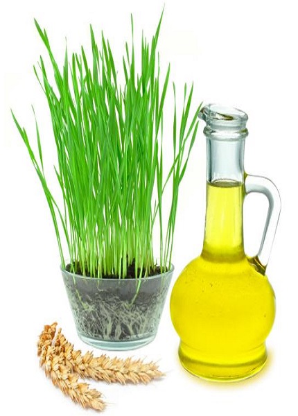 Wheat germ oil