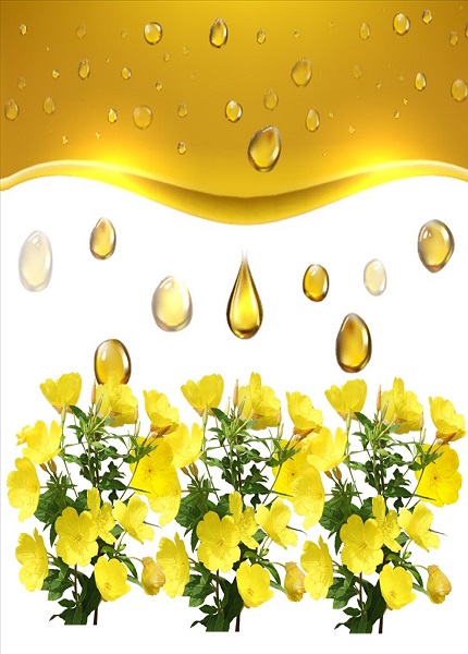 Evening primrose oil