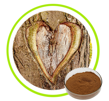 Pine Bark Extract 90%,95%,99%