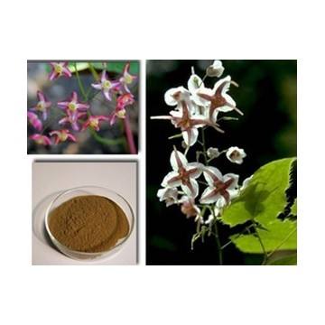 Epimedium Extract