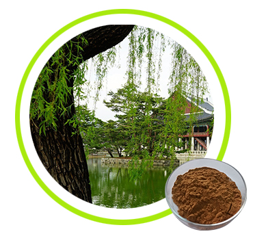 White Willow Bark Extract Salicin 15-98%