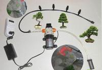 Automatic watering system