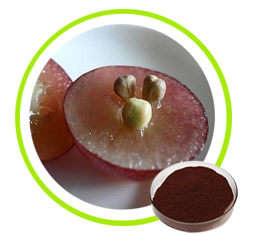 Grape Seed Extract OPC 95%, 98%, 99% Polyphenols 80%,85%,90%
