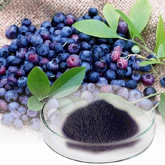 Bilberry Extract Anthocyanidins 1-25% Anthocyanins 1-36% 