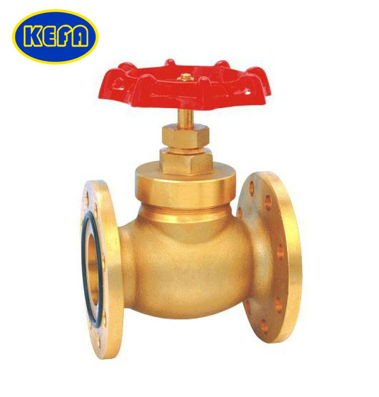 BS Globe valve