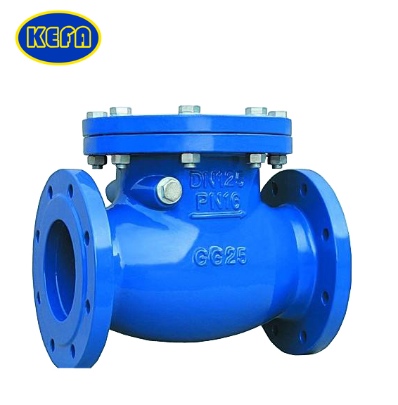 Double Flange Swing Check Valve